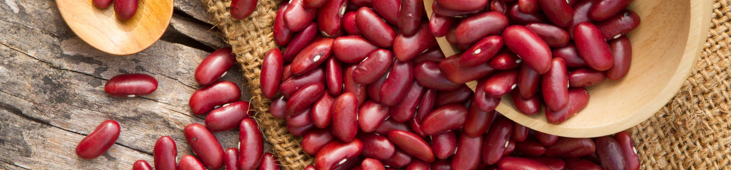 Known as a high quality and inexpensive source of protein and nutrition, dark red kidney beans have become a stable ingredient in worldwide cuisines. 