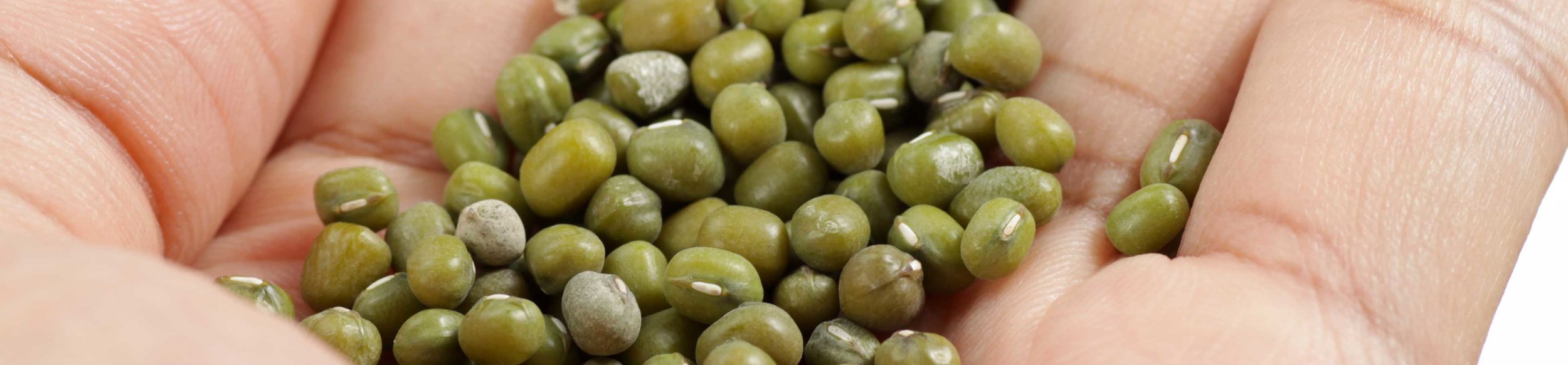 Mung beans make an ideal addition to a well-balanced and healthy diet.