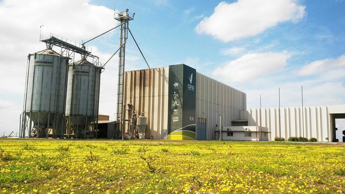 En 2010, Cono construye una moderna planta de procesamiento de cultivos de especialidades como garbanzos.