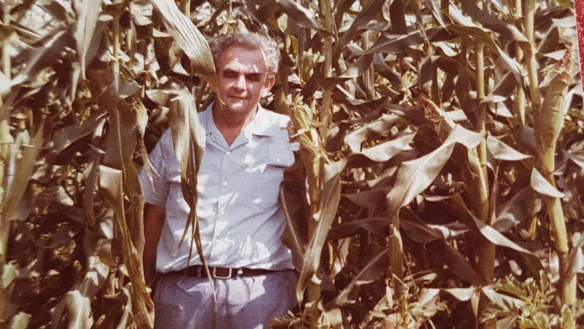 In 1990, Cono started growing soy and corn commodities.