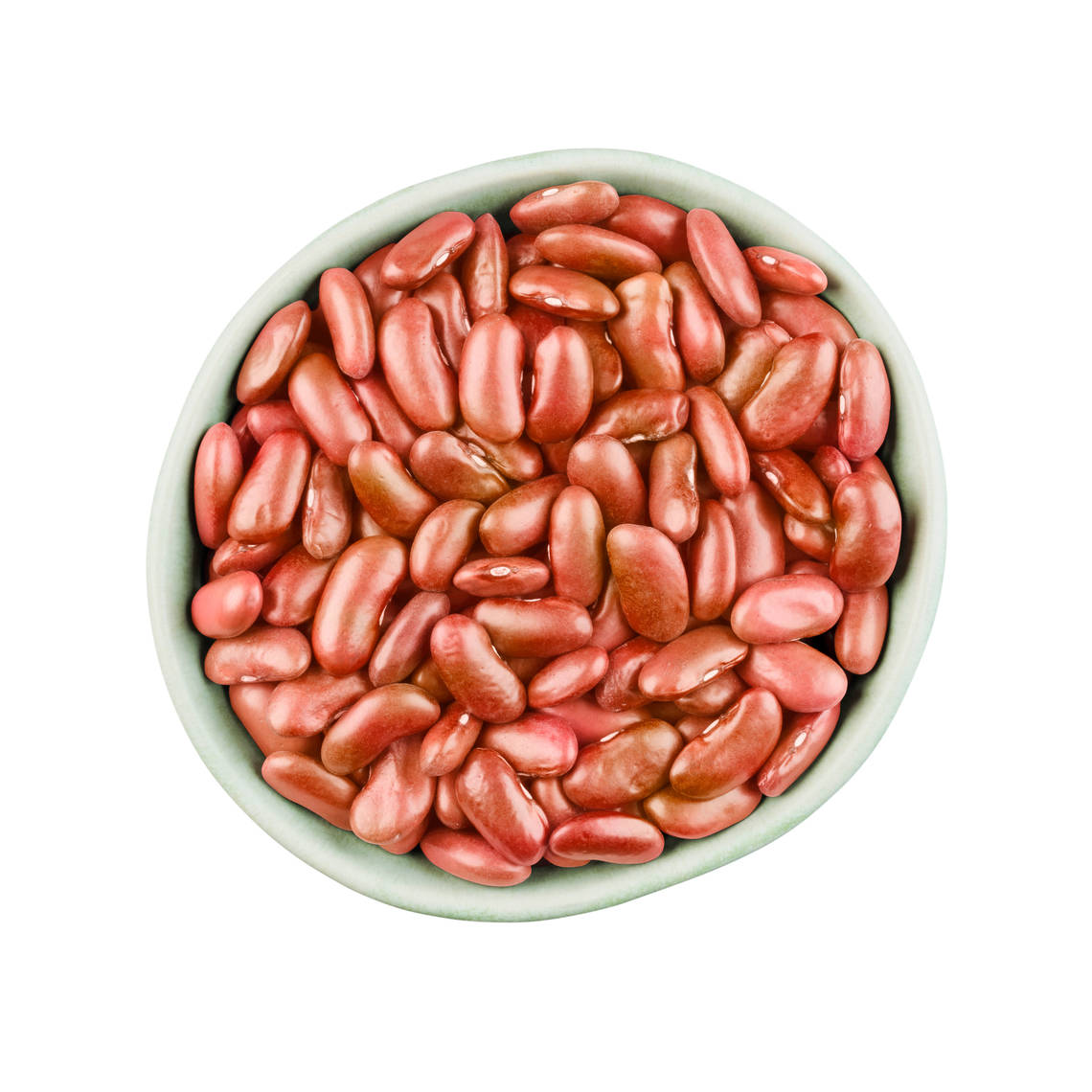 Un cuenco de porotos arriñonados rojo claro Los porotos arriñonados rojo claro son porotos grandes con una forma de riñón distintiva y una piel brillante de color rosado rojizo.