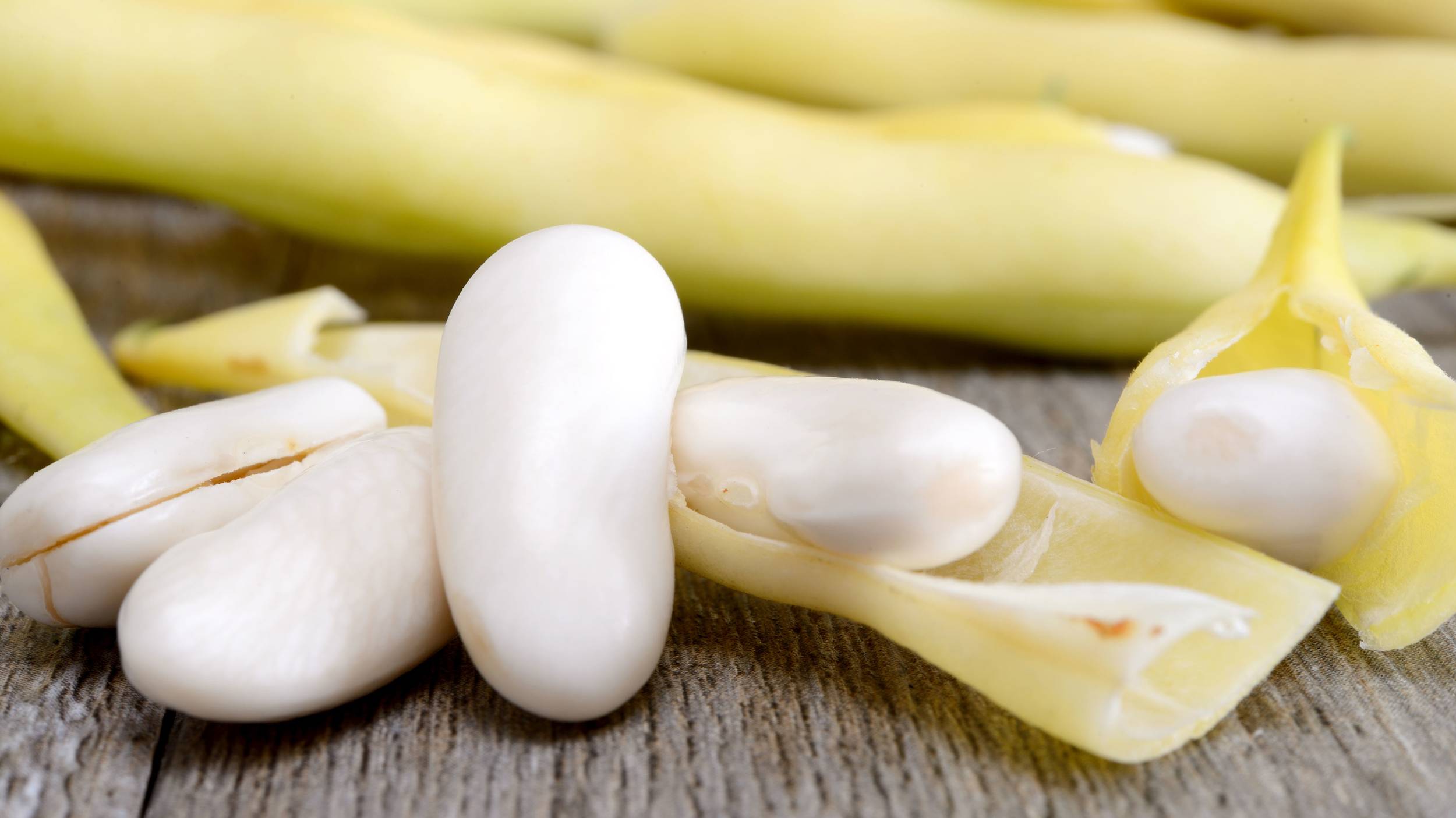 Porotos arriñonados blancos en la vaina Los porotos arriñonados blancos de Cono se cultivan en Córdoba y también en el norte de Argentina donde las condiciones son idóneas.