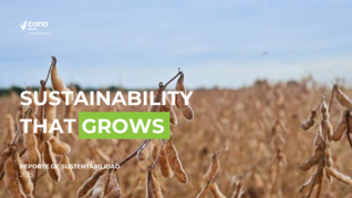 Reporte de Sustentabilidad 2025