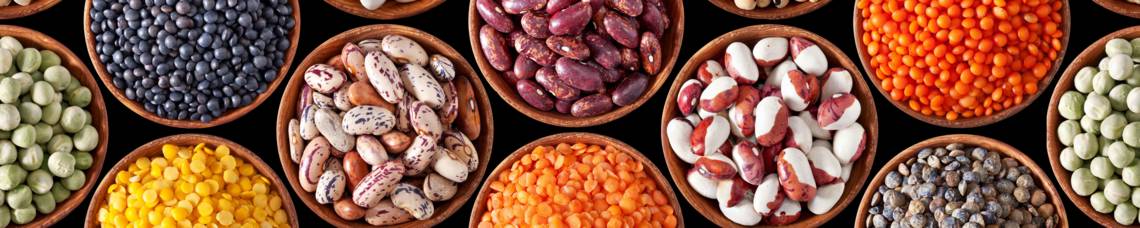 La oferta de productos alimentarios de Cono Cono es un socio líder en la exportación de garbanzos, semillas de chía y porotos cultivados sustentablemente.