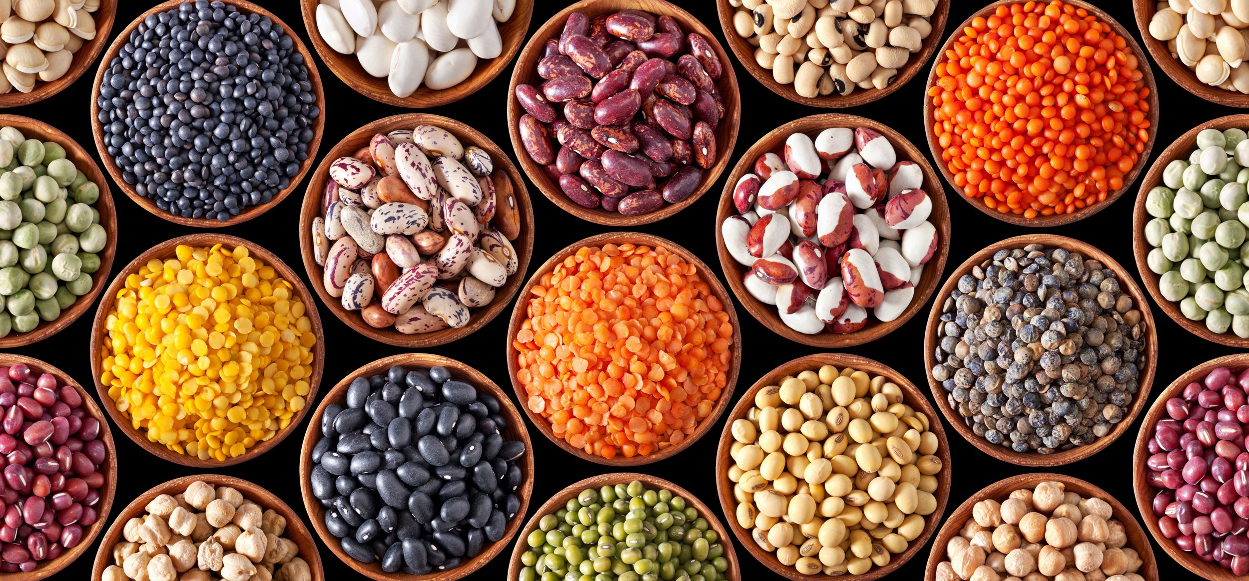 Cono es un socio líder en la exportación de garbanzos, semillas de chía y porotos cultivados sustentablemente.