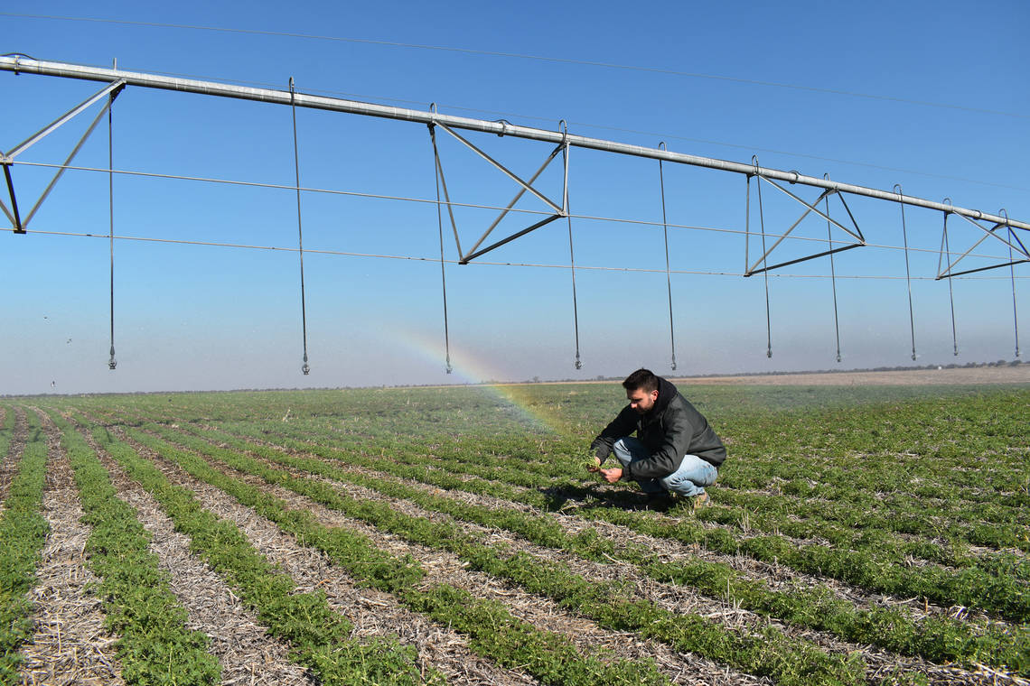 Gestión del agua en el cultivo de alimentos La cantidad y la calidad del agua almacenada en los terrenos de Cono es de una gran importancia para la agricultura sustentable.