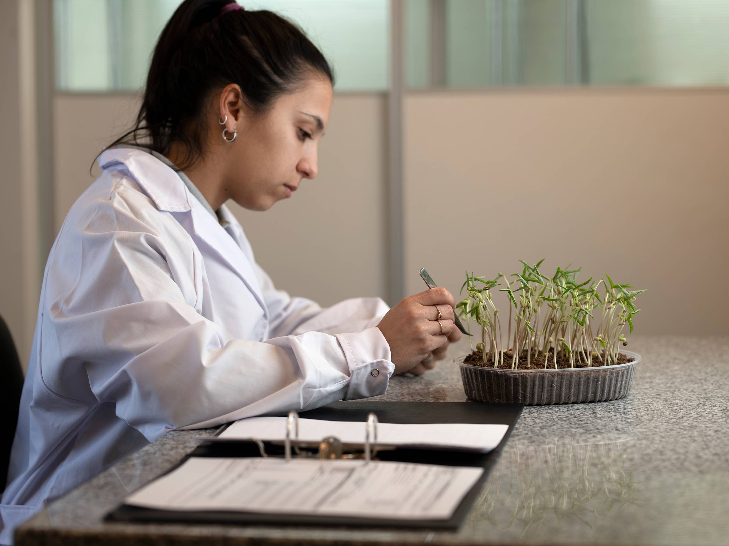 Inspection of seedlings Cono sets high standards in all areas of activity.