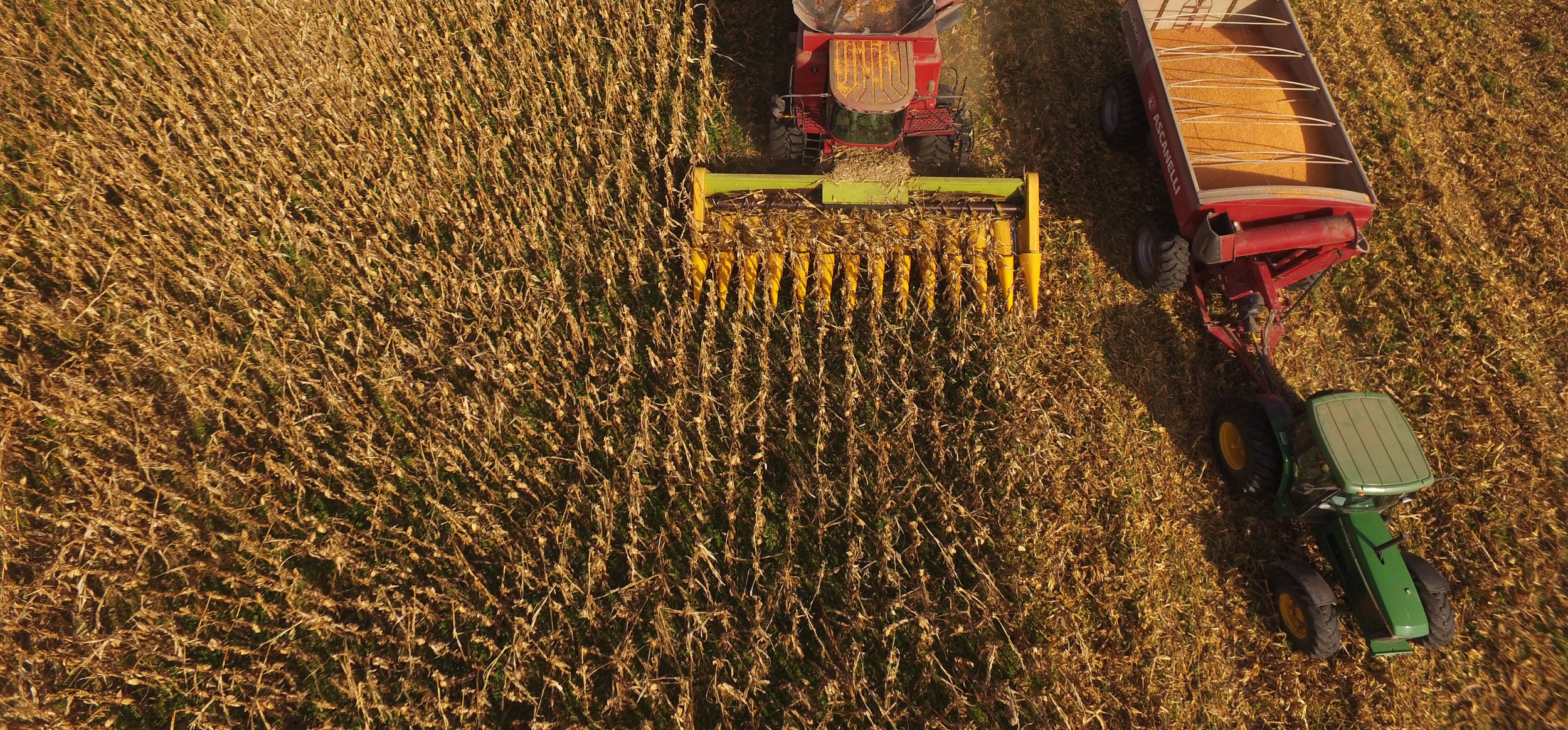 Agricultura sustentable Cono tiene muy presente el medioambiente a la hora de cultivar alimentos.